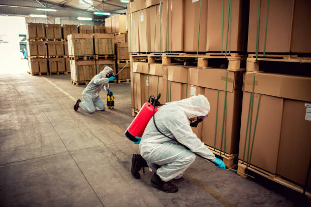 Best Wasp Removal Services  in Bidwell, OH