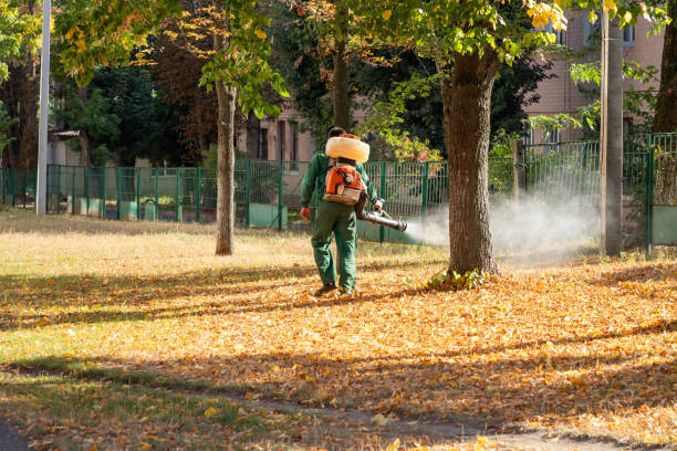 Best Emergency Pest Control  in Bidwell, OH
